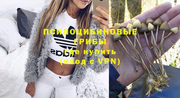 тгк Алексин