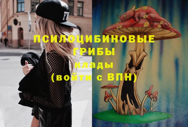 тгк Алексин