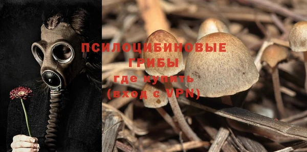 тгк Алексин