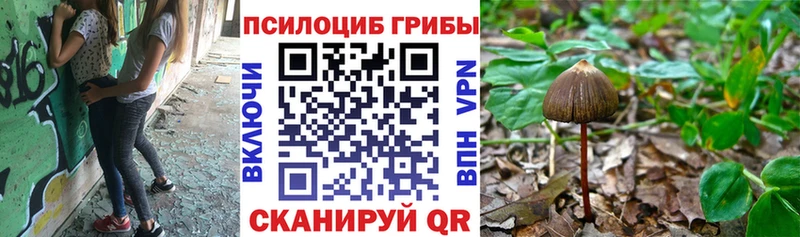нарко площадка наркотические препараты  Аткарск  Псилоцибиновые грибы мицелий  что такое наркотик 